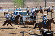 Ranch Sorting Rider Rankings